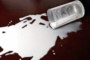 milk spill